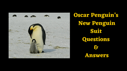Oscar Penguin’s New Penguin Suit Questions & Answers
