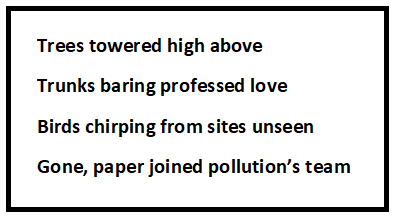 Warned Summary and Questions & Answers