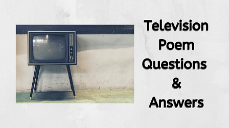 Television Poem Questions & Answers