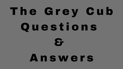 The Grey Cub Questions & Answers