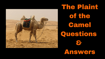 The Plaint of the Camel Questions & Answers