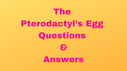 The Pterodactyl’s Egg Questions & Answers