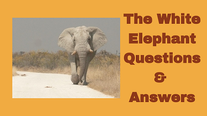 The White Elephant Questions & Answers