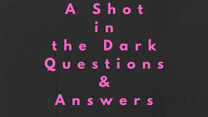 A Shot in the Dark Questions & Answers