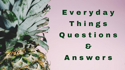 Everyday Things Questions & Answers