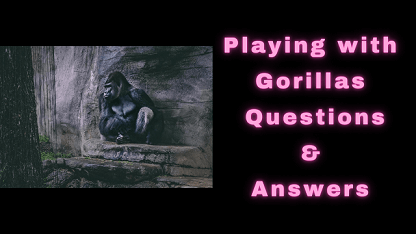 Playing with Gorillas Questions & Answers