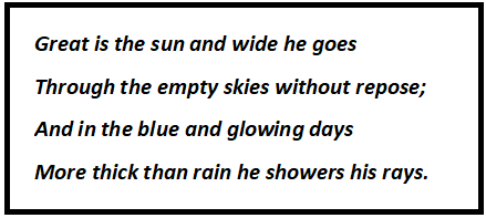 Summer Sun Questions & Answers