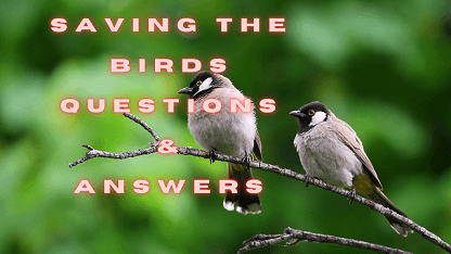 Saving the Birds Questions & Answers