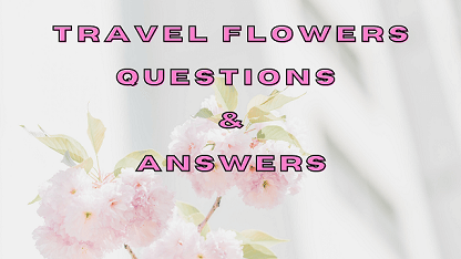 Travel Flowers Questions & Answers