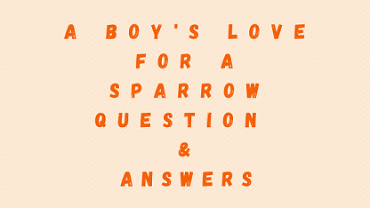 A Boy's Love For A Sparrow Questions & Answers