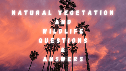 Natural Vegetation and Wildlife Questions & Answers