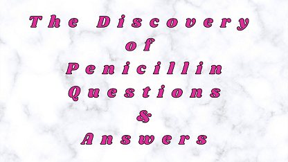 The Discovery of Penicillin Questions & Answers