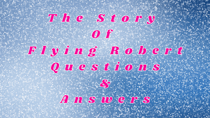 The Story Of Flying Robert Questions & Answers