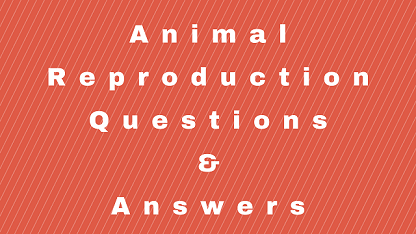 Animal Reproduction Questions & Answers