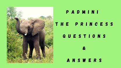 Padmini The Princess Questions & Answers