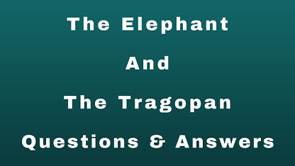 The Elephant And The Tragopan Questions & Answers