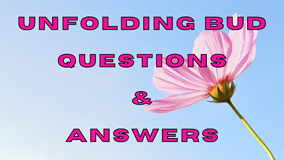Unfolding Bud Questions & Answers