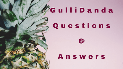 GulliDanda Questions & Answers