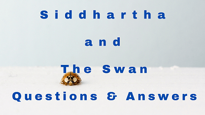 Siddhartha and The Swan Questions & Answers