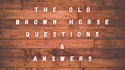 The Old Brown Horse Questions & Answers