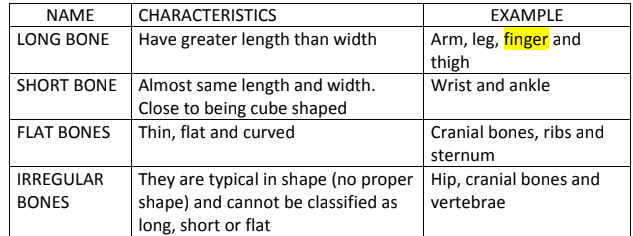 Bone Classification