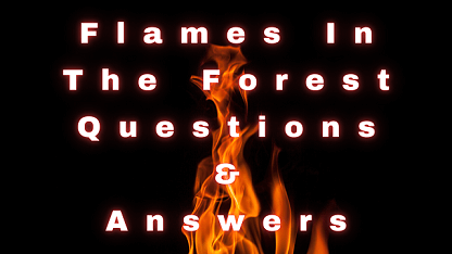Flames In The Forest Questions & Answers