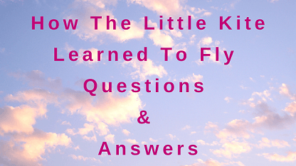 How The Little Kite Learned To Fly Questions & Answers
