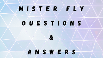 Mister Fly Questions & Answers