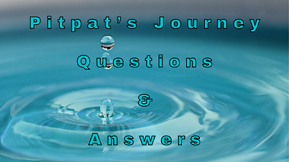 Pitpat’s Journey Questions & Answers