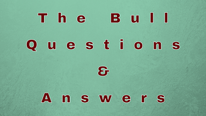 The Bull Questions & Answers