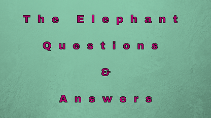The Elephant Questions & Answers