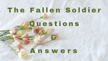The Fallen Soldier Questions & Answers