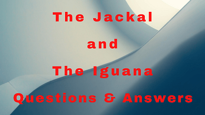 The Jackal and The Iguana Questions & Answers