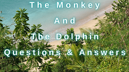 The Monkey and The Dolphin Questions & Answers