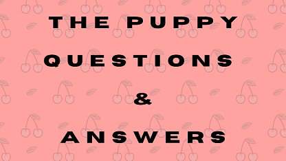The Puppy Questions & Answers