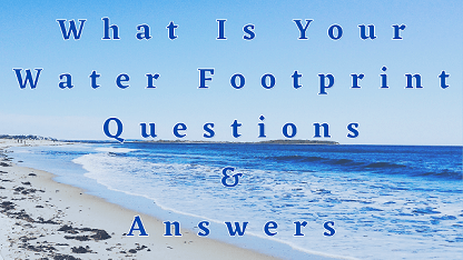 What Is Your Water Footprint Questions & Answers