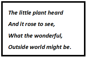 The Little Plant Questions & Answers
