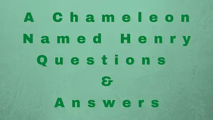 A Chameleon Named Henry Questions & Answers