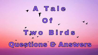 A Tale Of Two Birds Questions & Answers