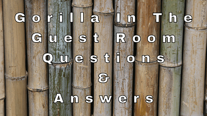 Gorilla In The Guest Room Questions & Answers