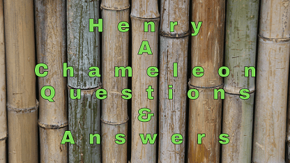 Henry A Chameleon Questions & Answers