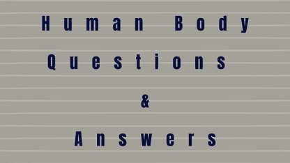 Human Body Questions & Answers