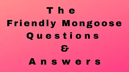 The Friendly Mongoose Questions & Answers