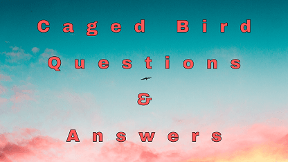 Caged Bird Questions & Answers