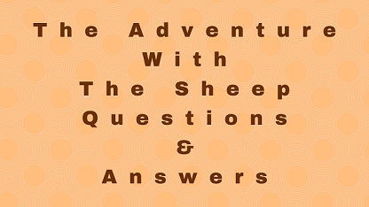 The Adventure With The Sheep Questions & Answers