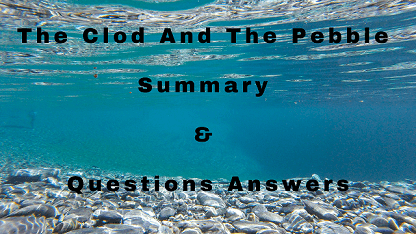 The Clod And The Pebble Summary & Questions Answers