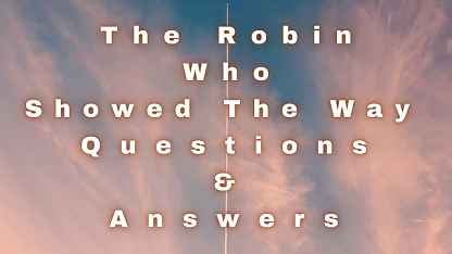 The Robin Who Showed The Way Questions & Answers