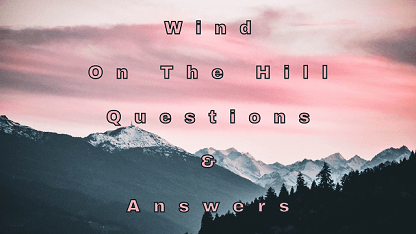 Wind On The Hill Questions & Answers