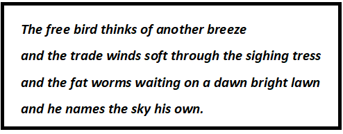 Caged Bird Questions & Answers