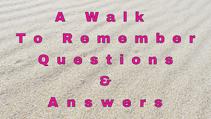 A Walk To Remember Questions & Answers